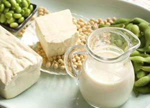 Soy, Fermented foods, Obesity, Nutrition 